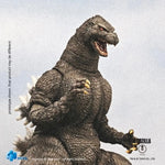 Load image into Gallery viewer, Luminous⭐Merch Hiya Toys HIYA Toys Exquisite Basic Godzilla 1991 Hokkaido ver. Action Figure from Godzilla vs King Ghidorah Non-scale Figures
