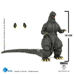 Load image into Gallery viewer, Luminous⭐Merch Hiya Toys HIYA Toys Exquisite Basic Godzilla 1991 Hokkaido ver. Action Figure from Godzilla vs King Ghidorah Non-scale Figures

